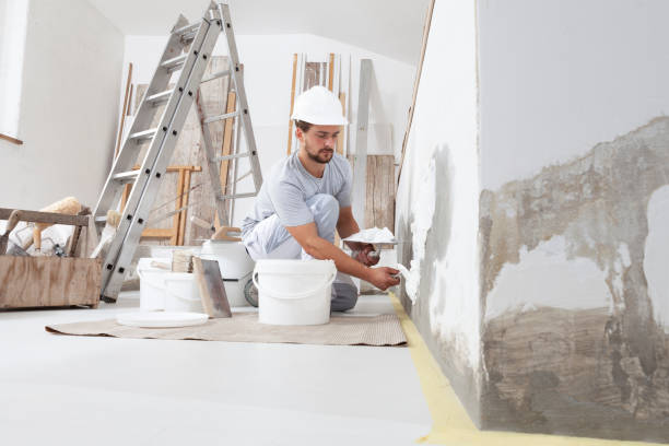 Trusted Bangs, TX Mold Removal Experts